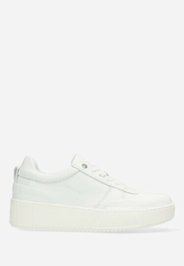 Jacia Sneaker White